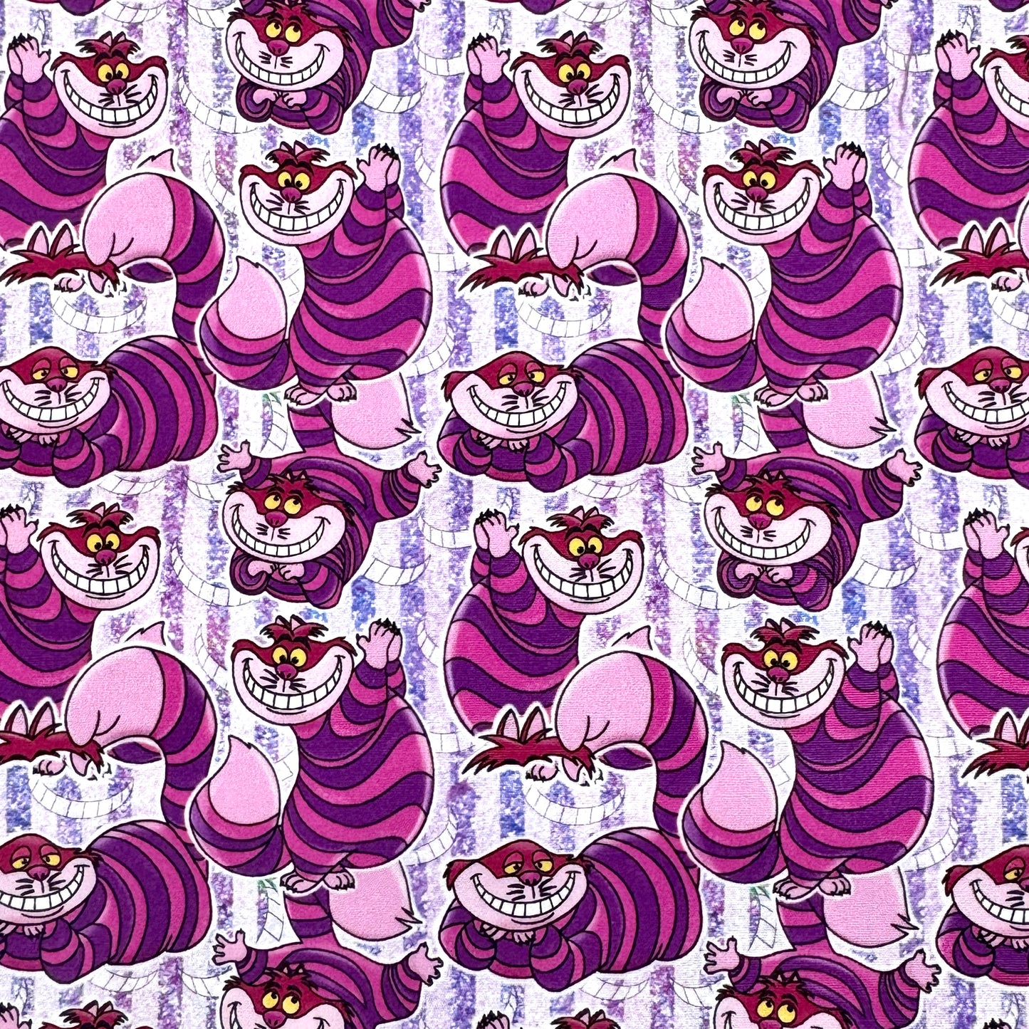 Cheshire Cat Wonderland Zipped Notions Hook DPN Pouch/Case