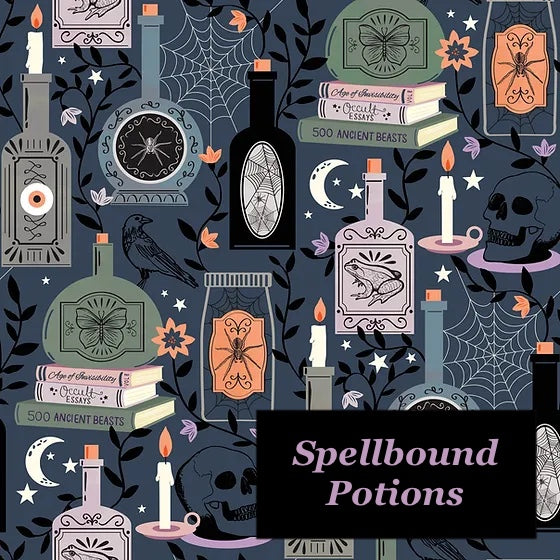 Spellbound Potions Zipped Project Bag - Large Size